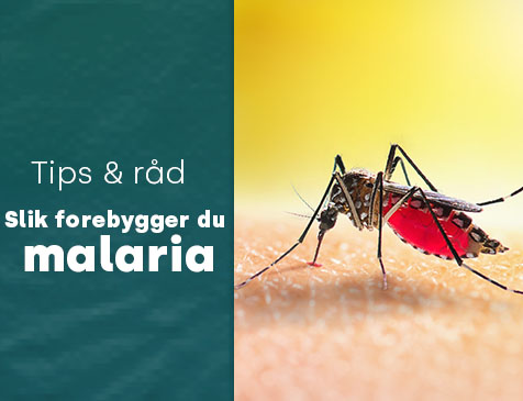 Forebygge malaria mygg