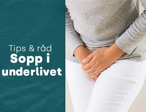 Sopp i underlivet
